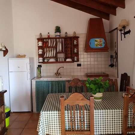 Casas Rurales Los Manantiales El Cercado エクステリア 写真