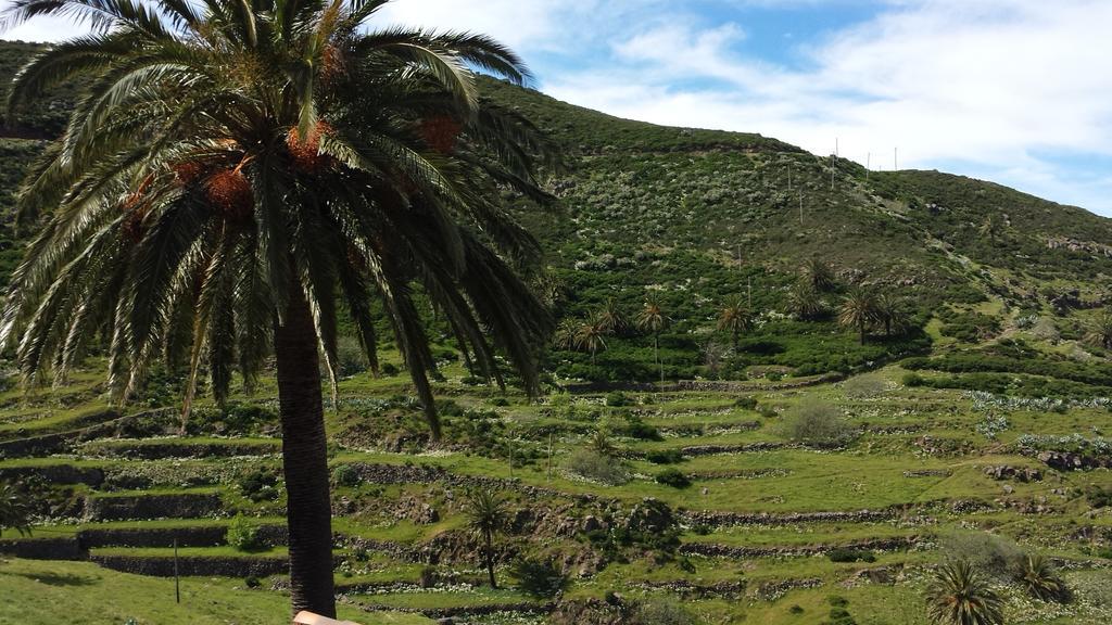 Casas Rurales Los Manantiales El Cercado エクステリア 写真